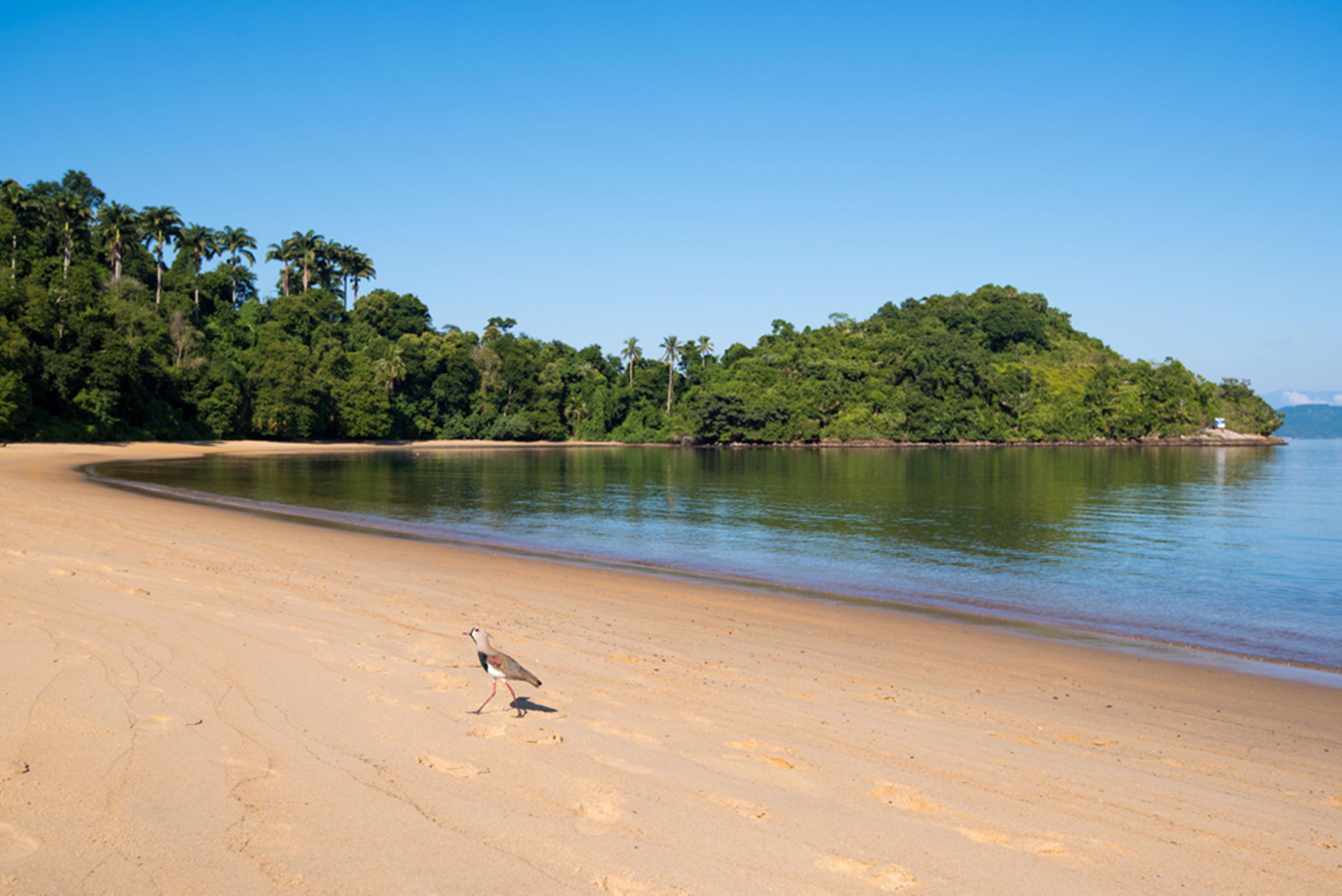 Vila Gale Eco Resort Angra อังกราโดสเฮย์ส ภายนอก รูปภาพ Beach at the park